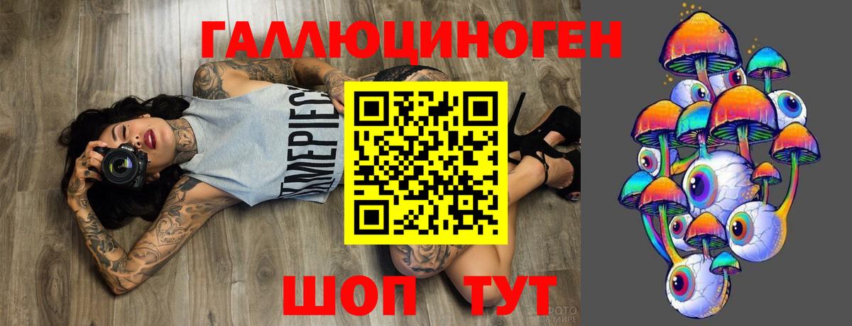 Галлюциногенные грибы Psilocybine cubensis Нефтекумск