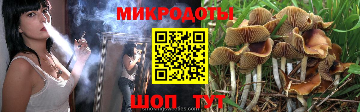 Нефтекумск  Галлюциногенные грибы Cubensis  Вход с VPN 